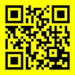 Meet your Posher, Amish